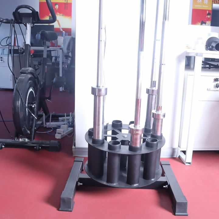 Barbell Curl Bar - Barbell Holder Storage & Organization For