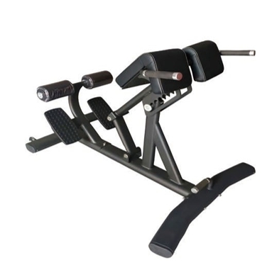 Commercial Foldable Steel Adju - Home Gym Rowing Machine review and price